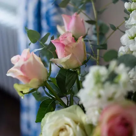 Chateau Le Petit Verdus * Sadirac